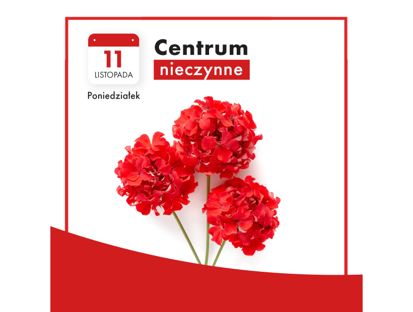 MMG_Ciechanow_listopad_Godziny_otwarcia_11112024_WWW_kafelek.png